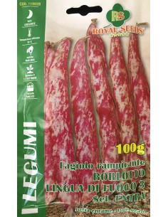 SEMI FAGIOLO RAMPICANTE LINGUA DI FUOCO 3 S.EXT.250 GR