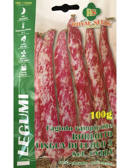 FAGIOLO RAMPICANTE LINGUA DI FUOCO 3 S.EXT.250 GR
