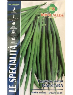 SEMI FAGIOLO NANO BACCARA 200 GR