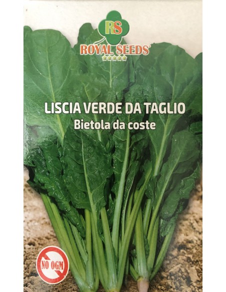 SEMI BIETA LISCIA VERDE DA TAGLIO GR 100