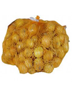 BULBI DI CIPOLLA STOCCARDA 16/21 Bulbi selezionati Gr. 500