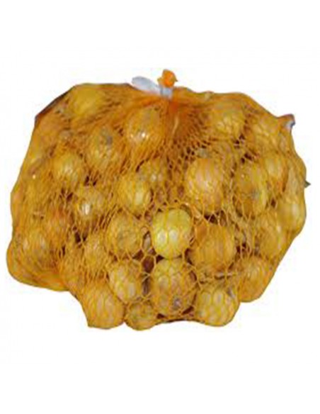 BULBI DI CIPOLLA STOCCARDA 16/21 Bulbi selezionati Gr. 500