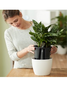 KIT RISERVA ACQUA CON GALLEGGIANTE LIVING NERO 2