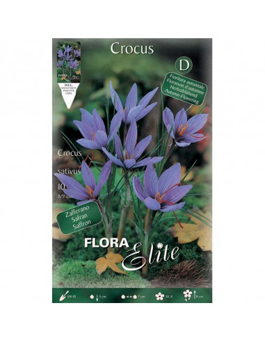 CROCUS "ZAFFERANO" (sativus) 10 BULBI