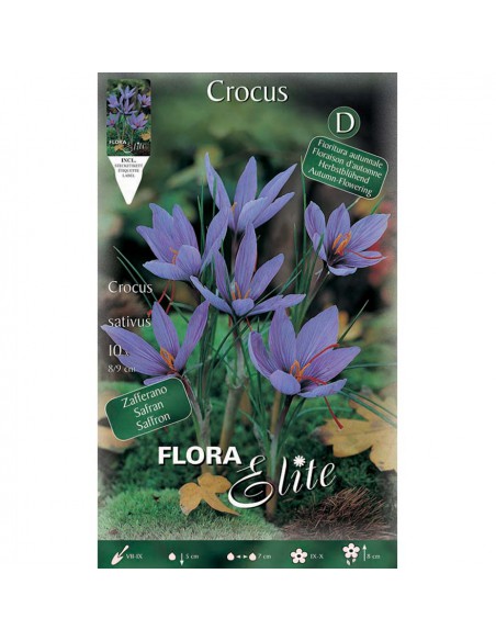CROCUS "ZAFFERANO" (sativus) 10 BULBI