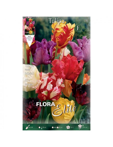 TULIPANO "MIXED" COLORI ASSORTITI (parrot) 10 BULBI