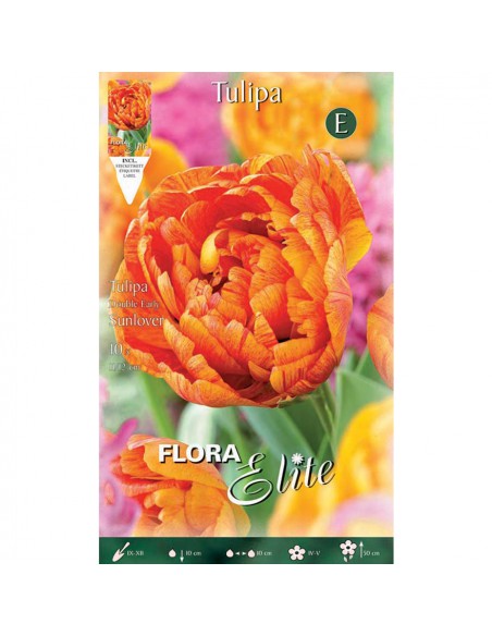 TULIPANO "SUNLOVER" (double early) 10 BULBI