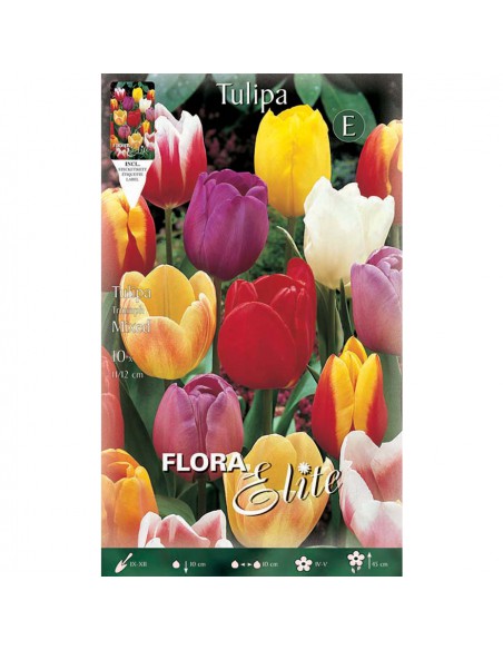TULIPANO MIXED COLORI ASSORTITI (triumph) 10 BULBI