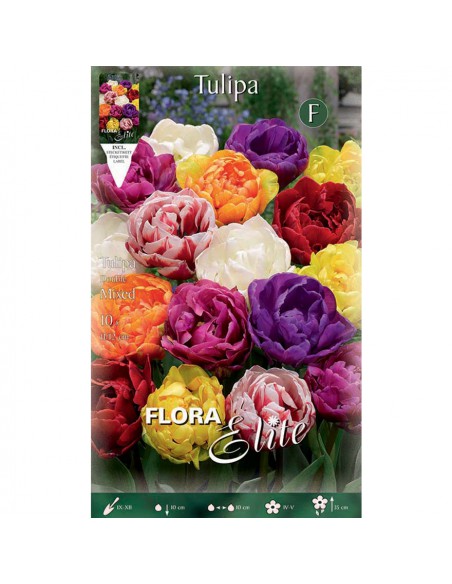 TULIPANO "MIXED" COLORI ASSORTITI (double) 10 BULBI