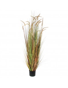 PLUME GRASS GREEN - H180XD85 cm