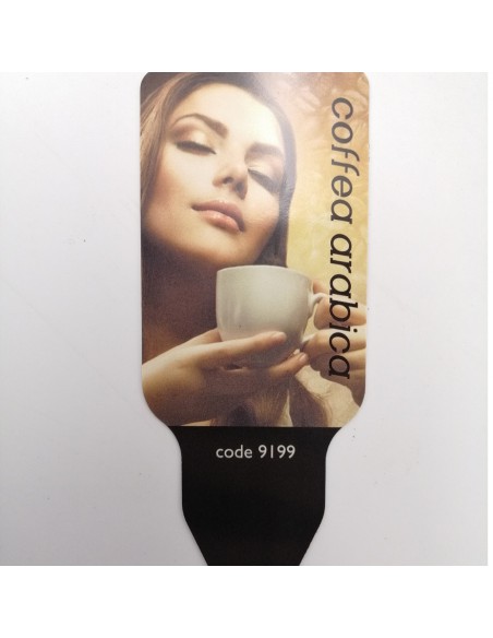 PIANTA DEL CAFFE VASO IN CERAMICA diam vaso 25 cm