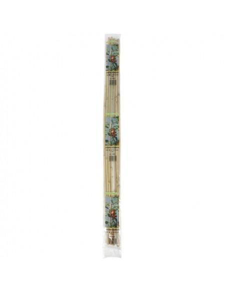 CANNA BAMBOO CONFEZIONE DA 3 PEZZI ALTEZZA 150 CM