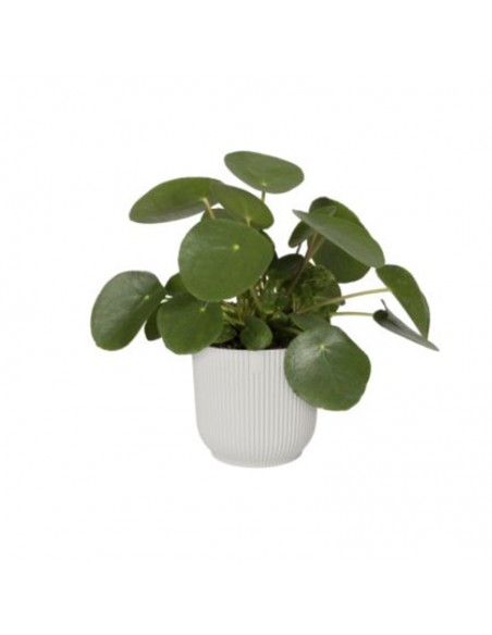 VASO VIBES FOLD ROUND BIANCO SETA