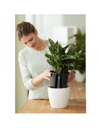 VASO BRUSSELS DIAMOND ROUND BIANCO