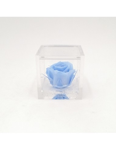 ROSA STABILIZZATA in CUBO 6X6 - LIGHT BLUE