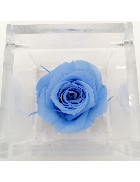 ROSA STABILIZZATA in CUBO 6X6 - LIGHT BLUE