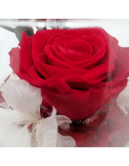 ROSA STABILIZZATA in BOCCIA DI VETRO diametro 16 cm - RED