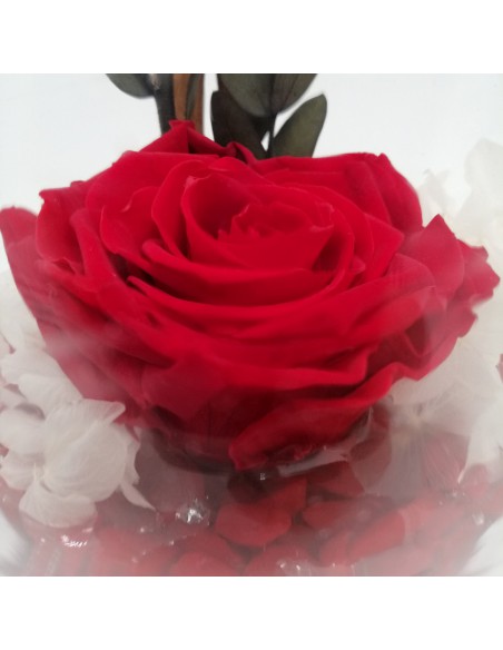 ROSA STABILIZZATA in COPPA DI VETRO diametro 12 cm - RED