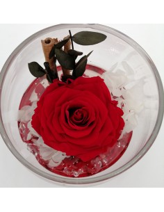 ROSA STABILIZZATA in COPPA DI VETRO diametro 12 cm - RED 2