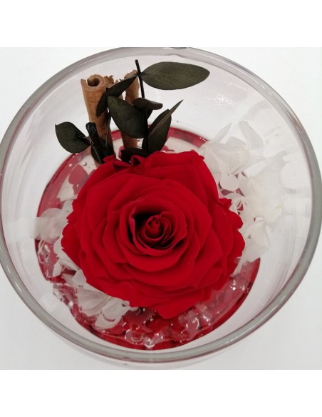 ROSA STABILIZZATA in COPPA DI VETRO diametro 12 cm - RED