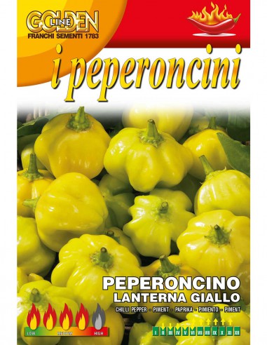 PEPERONCINO LANTERNA GIALLO