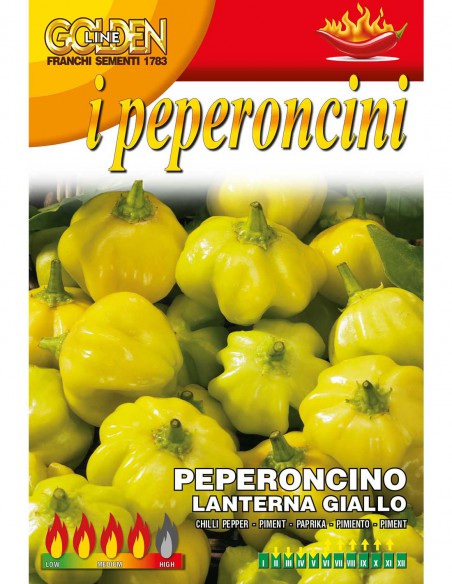 PEPERONCINO LANTERNA GIALLO