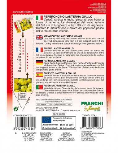 PEPERONCINO LANTERNA GIALLO