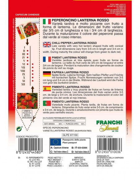 PEPERONCINO LANTERNA ROSSO