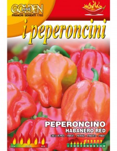 SEMI PEPERONCINO HABANERO ROSSO piccantezza elevata