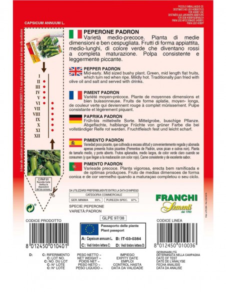 PEPERONCINO PADRON
