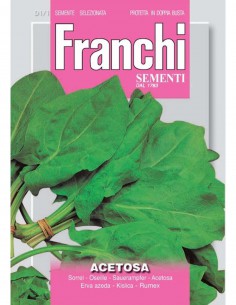 SEMI DI ACETOSA PIANTA AROMATICA salse, zuppe e insalate