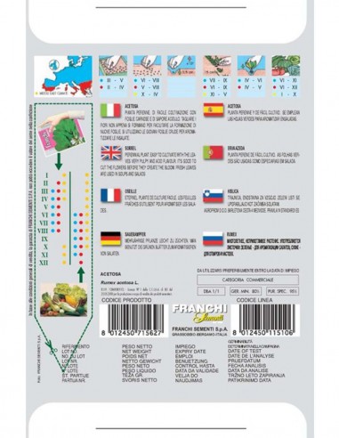 SEMI DI ACETOSA PIANTA AROMATICA salse, zuppe e insalate