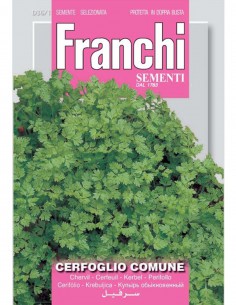 SEMI CERFOGLIO