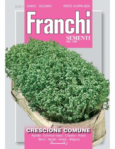 SEMI CRESCIONE COMUNE