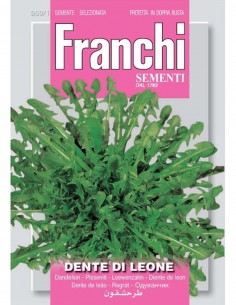 SEMI DENTE DI LEONE