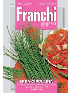 SEMI ERBA CIPOLLINA
