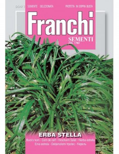 SEMI ERBA STELLA