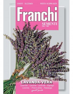 SEMI LAVANDA VERA