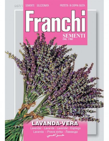 LAVANDA VERA