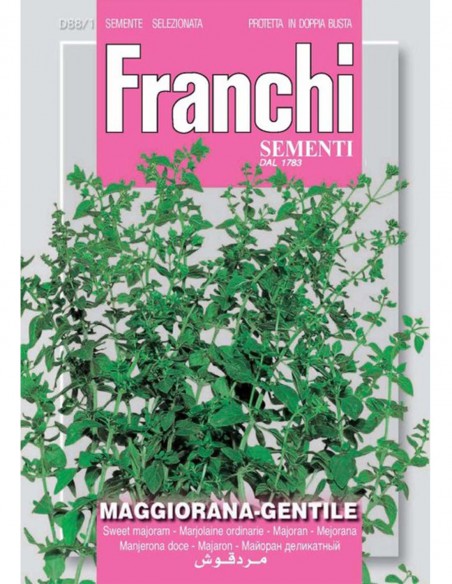 SEMI DI MAGGIORANA GENTILE Facile da coltivare