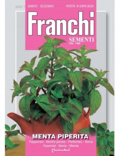 SEMI DI MENTA PIPERITA Pianta vigorosa facile da coltivare