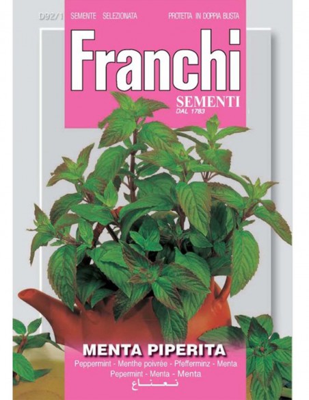 SEMI DI MENTA PIPERITA Pianta vigorosa facile da coltivare