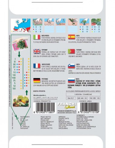 SEMI DI MENTA PIPERITA Pianta vigorosa facile da coltivare