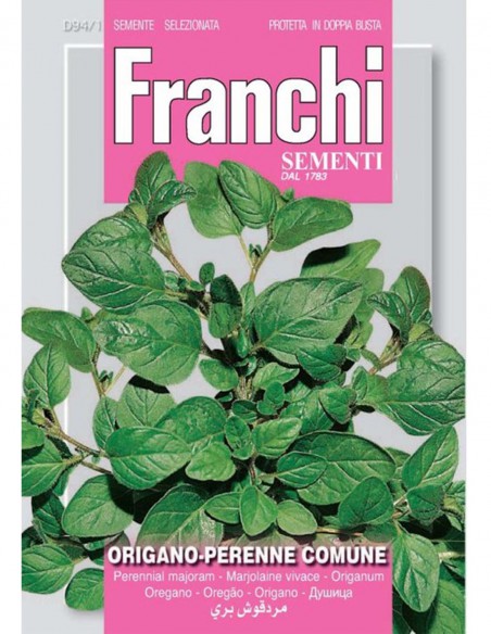 SEMI ORIGANO PERENNE