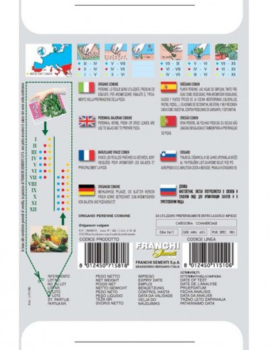 SEMI ORIGANO PERENNE