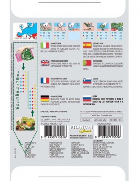 SEMI ORIGANO PERENNE