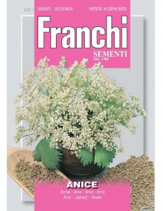 SEMI ANICE pianta aromatica facile da coltivare