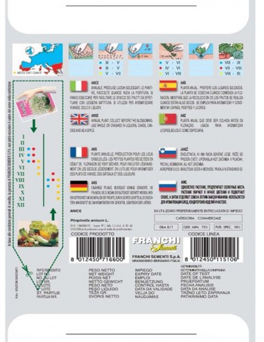 SEMI ANICE pianta aromatica facile da coltivare