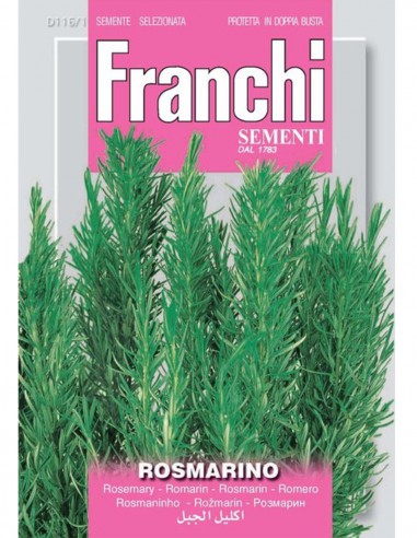 ROSMARINO