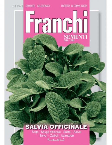 SEMI DI SALVIA OFFICINALE Foglie profumate e aromatizzate